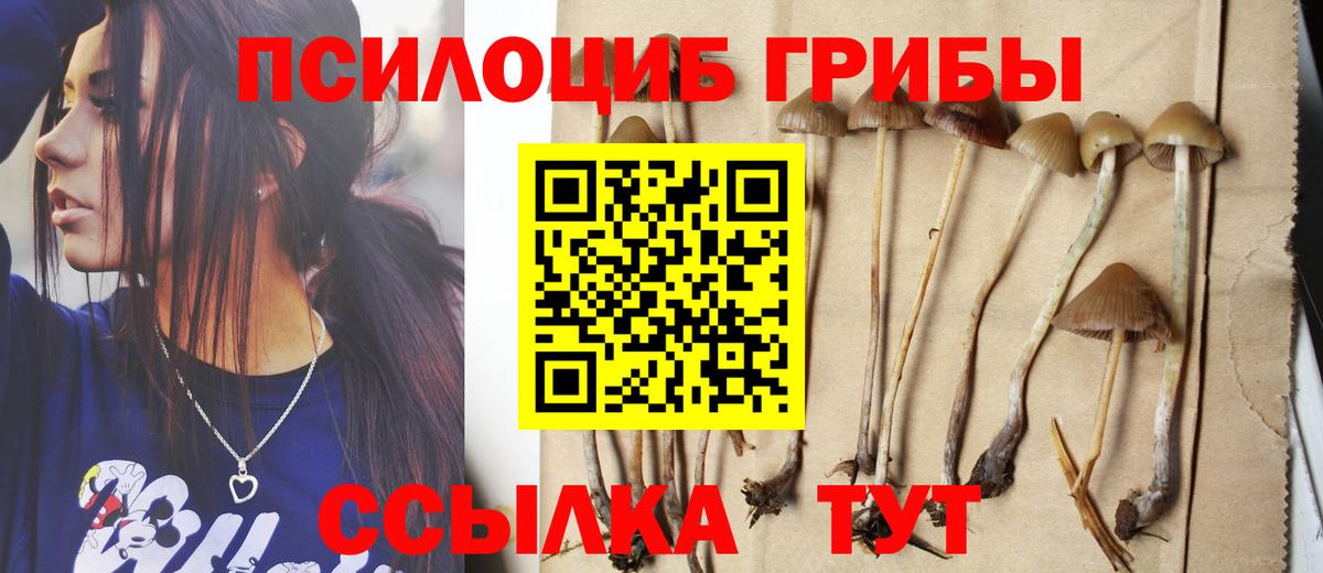 Галлюциногенные грибы ЛСД  Вход с VPN  Спасск-Дальний 